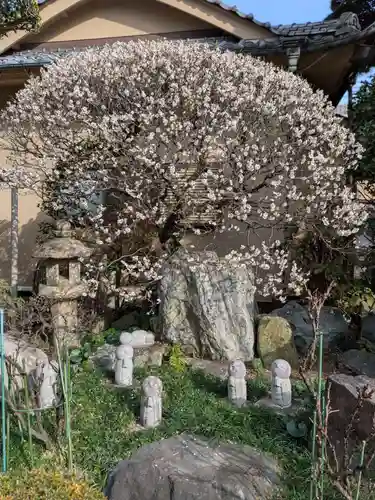 松應寺(東京都)