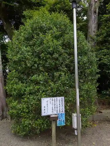 息栖神社(茨城県)