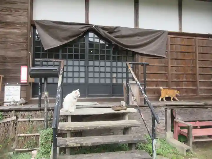 光珠院(埼玉県)