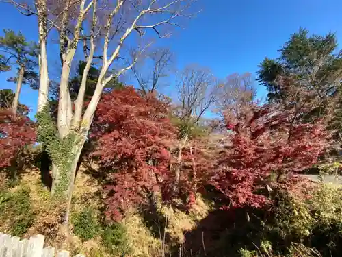 武田神社の庭園