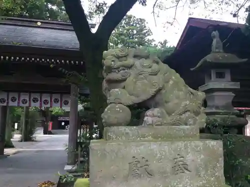 黒磯神社の狛犬