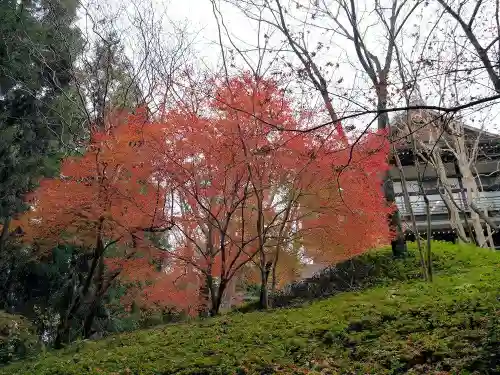 今熊野観音寺の自然