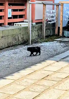 王子稲荷神社の動物
