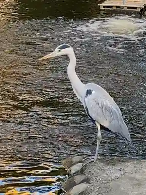 平塚八幡宮(神奈川県)