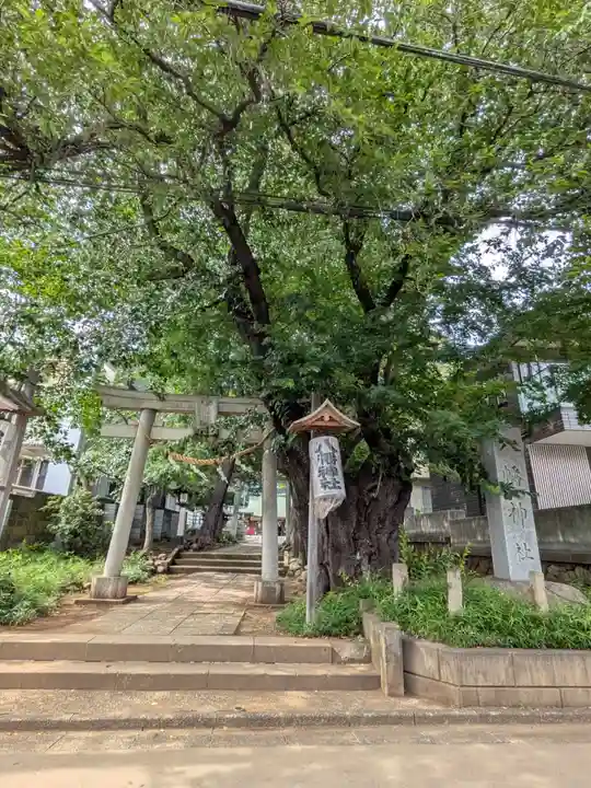 下高井戸八幡神社(東京都)