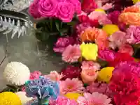 札幌諏訪神社の手水舎