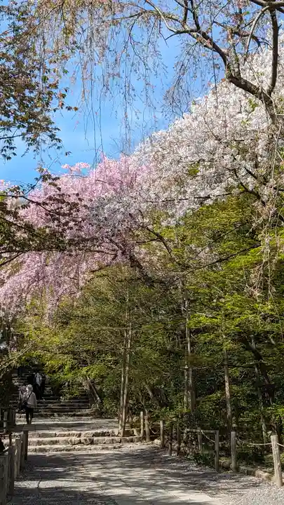 龍安寺(京都府)
