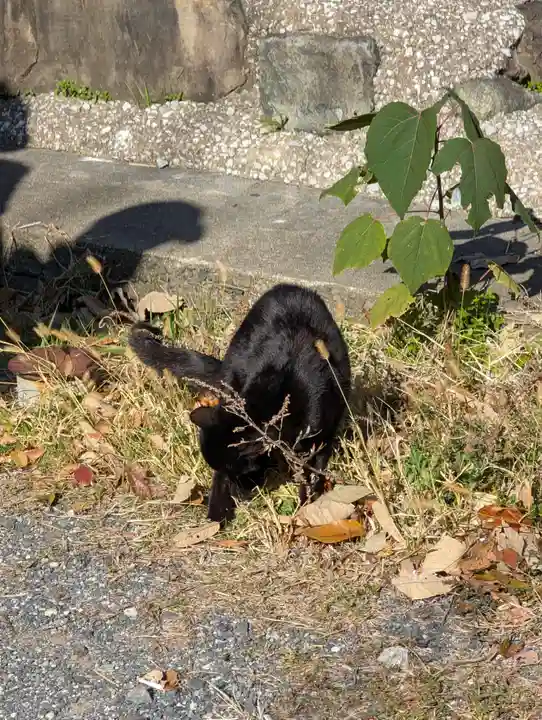 対馬四十四番札所(長崎県)