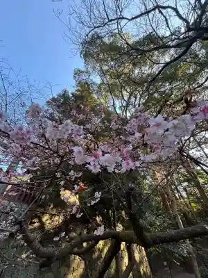 久能山東照宮の{uncategorized: "未分類", other: "その他", undefined: "問題あり", building: "その他建物", grave: "お墓", sacred_gate: "鳥居", guardian: "狛犬", statue: "像", buddha: "仏像", history: "歴史", nature: "自然", garden: "庭園", animal: "動物", pagoda: "塔", temizu: "手水舎", mountain_gate: "山門・神門", sanctuary: "本殿・本堂", subordinate: "末社・摂社", art: "芸術", scenery: "景色", jizo: "地蔵", ema: "絵馬", goshuin: "御朱印", omikuji: "おみくじ", items: "授与品その他", amulet: "お守り", goshuincho: "御朱印帳", eats: "食事", festival: "お祭り", votive_dance: "神楽", shichigosan: "七五三参", wedding: "結婚式", experience: "体験その他", initially: "初詣", around: "周辺", anti_infection: "感染症対策"}