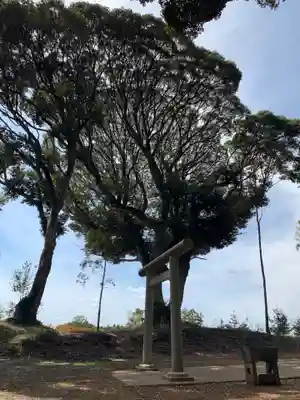 春日神社(千葉県)