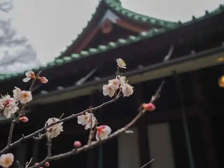 赤坂氷川神社(東京都)
