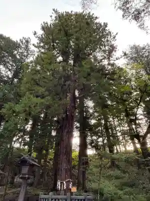 諏訪大社下社春宮(長野県)