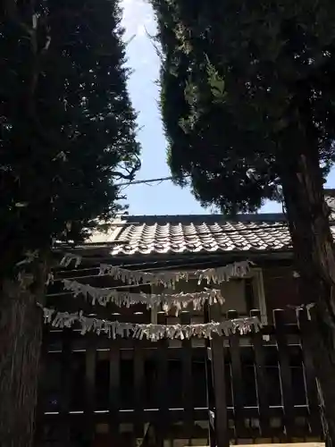 西宮神社のおみくじ