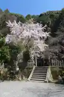 大豊神社のその他建物