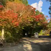 曼殊院門跡の自然