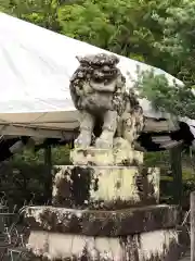 出雲大神宮の狛犬