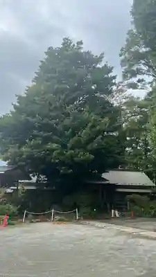 寒田神社(神奈川県)