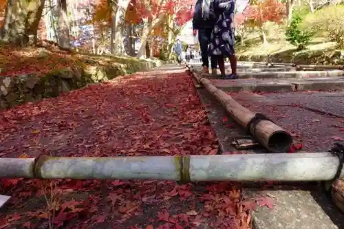 毘沙門堂門跡の庭園