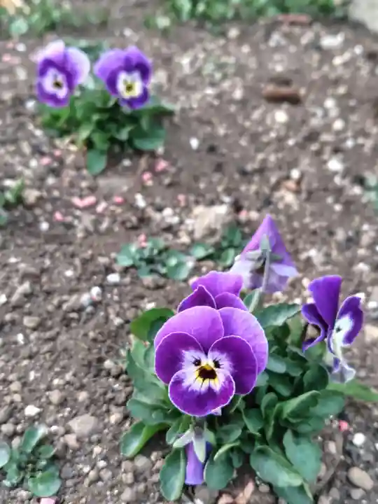 正泉寺(神奈川県)