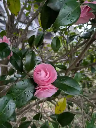 出雲大社宇部教会の御朱印