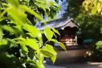 三津厳島神社(愛媛県)