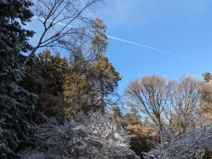 三峯神社(埼玉県)