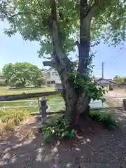 厳島神社(埼玉県)