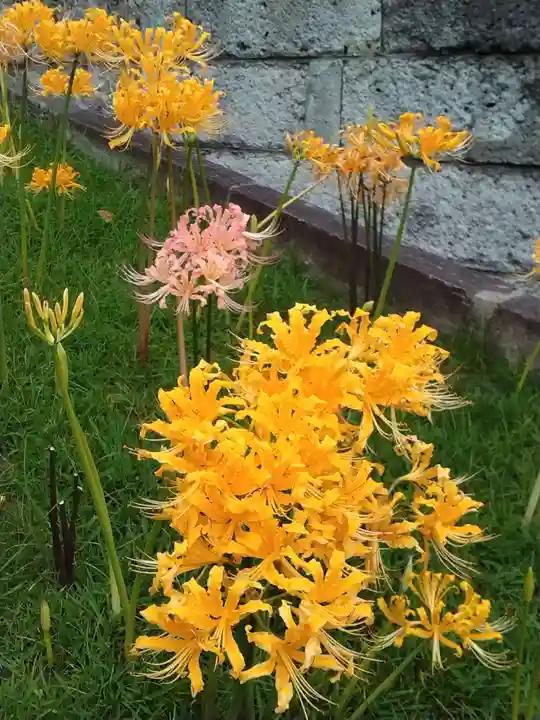 横浜 西方寺の自然