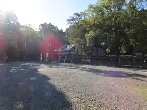 闘鶏神社の本殿・本堂