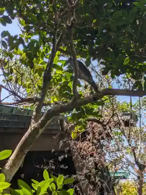 熱田神社(東京都)