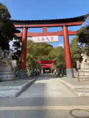 平塚八幡宮の鳥居