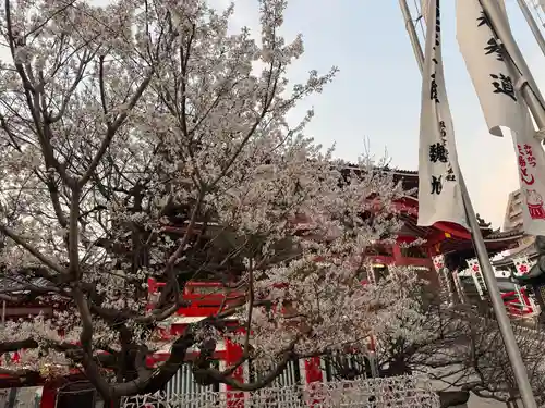 大須観音 （北野山真福寺宝生院）(愛知県)