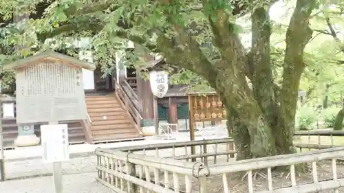 真正極楽寺（真如堂）(京都府)