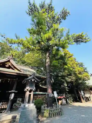 前鳥神社(神奈川県)