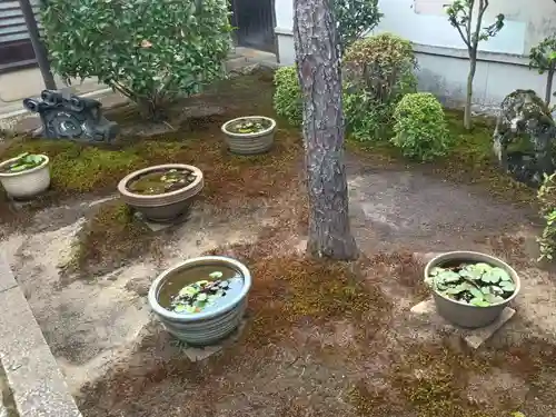 本光院(京都府)