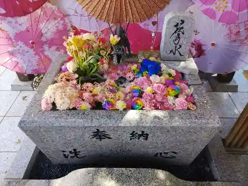 札幌諏訪神社の手水