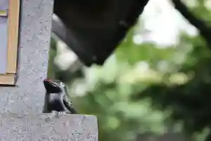 くまくま神社(導きの社 熊野町熊野神社)のその他建物(2022年07月16日(土) 19時03分59秒投稿)