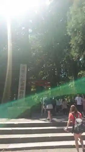 箱根神社の建物その他