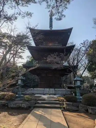 豪徳寺(東京都)