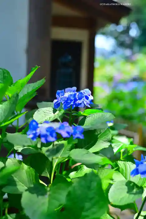 妙楽寺(神奈川県)