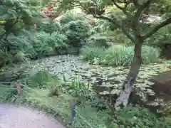 岩船寺(京都府)