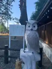 八幡宮の狛犬