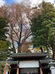 冨士山稲荷神社(長野県)