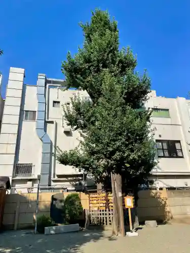 天祖神社(東京都)
