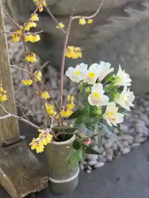 須山浅間神社(静岡県)