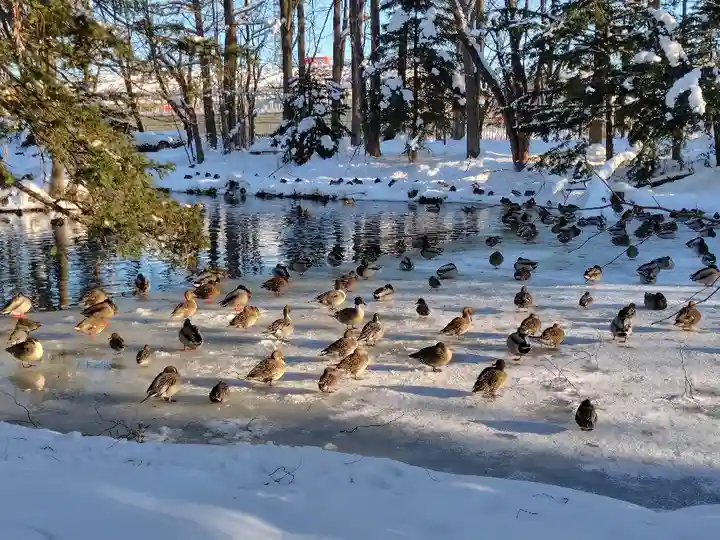 永山神社(北海道)