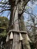 赤坂氷川神社のその他建物