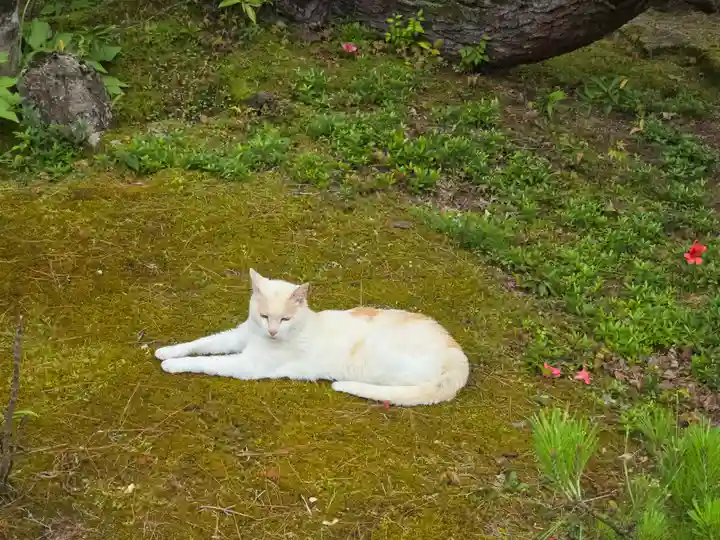 喜見院(滋賀県)