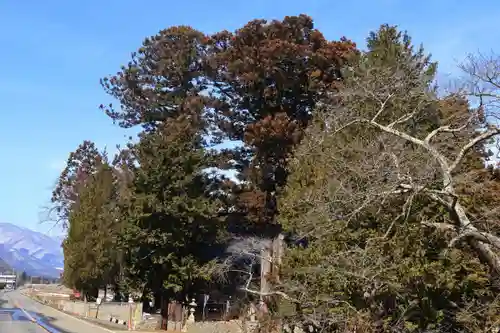 高司神社〜むすびの神の鎮まる社〜の景色