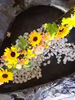 厚別神社(北海道)